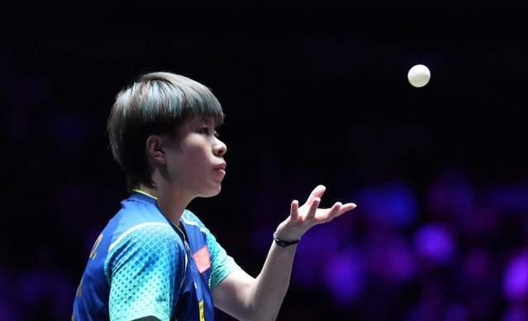 金年会- 排球季后赛对阵表最新版 